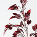 Artificial Ficus Leaf Spray 89cm Burgundy - Pack of 12 - FLORA DESIGNS