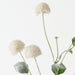 Artificial Thistle Spray 80cm White - Pack of 12 - FLORA DESIGNS