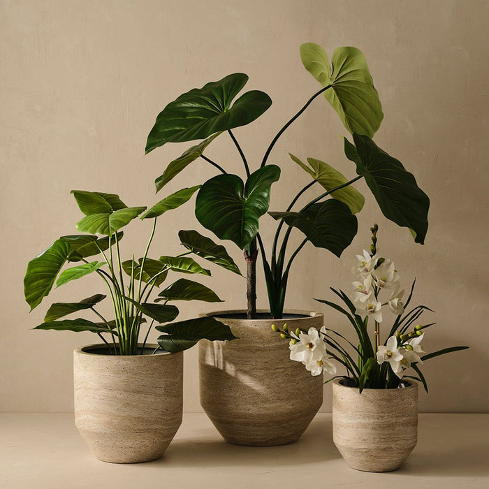 Nomilo Pot (Set 3) 50cm Ivory Travertine - FLORA DESIGNS