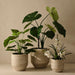 Nomilo Pot (Set 3) 50cm Ivory Travertine - FLORA DESIGNS