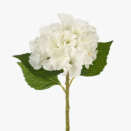 Hydrangea White 32cm - Pack of 24