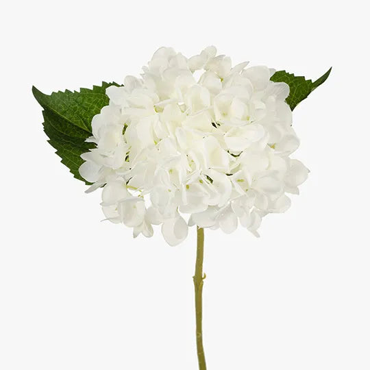 Hydrangea White 46cm - Pack of 12