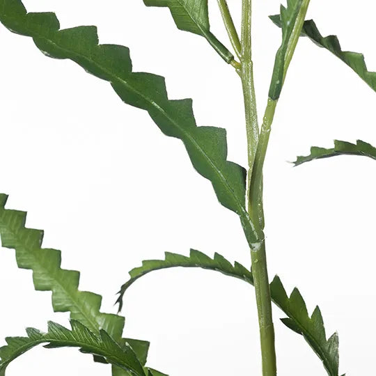 Banksia Leaf Spray Green 89cm - Pack of 12