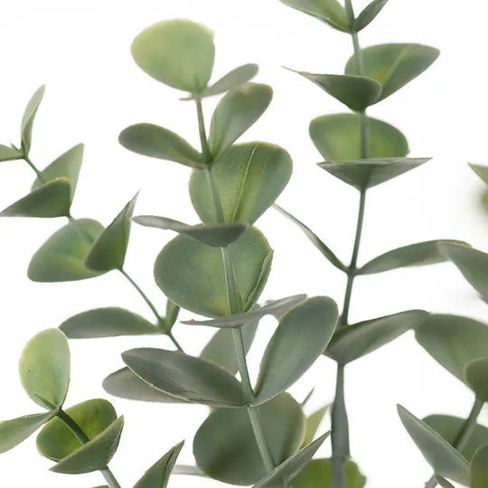 Eucalyptus Spray Grey Green 66cm - Pack of 12
