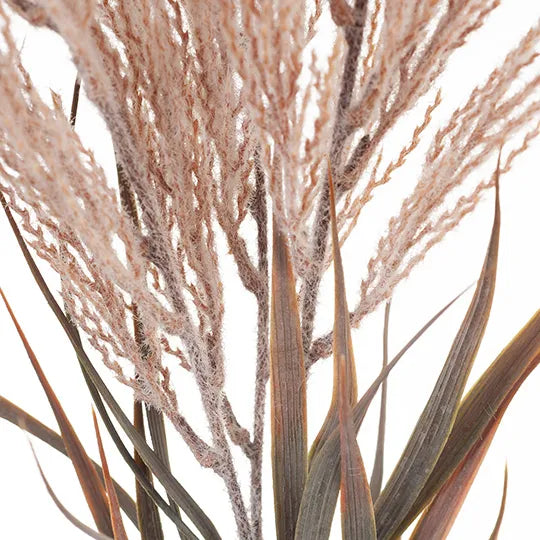 Plume Grass Spray Dusty Pink 88cm - Pack of 12