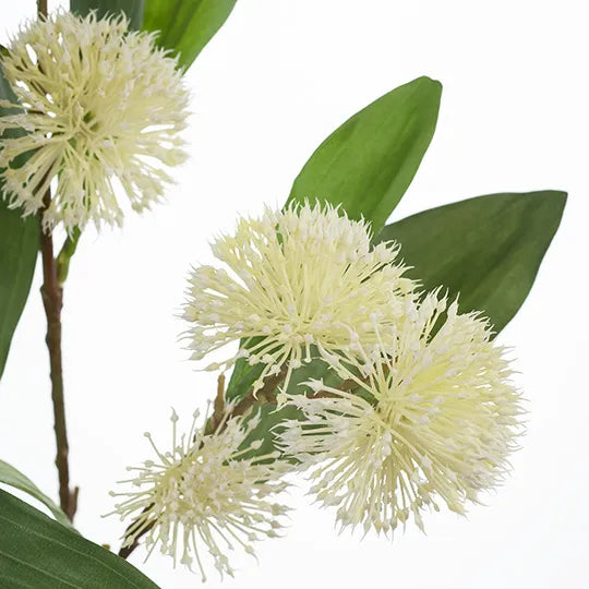 Sweet Gum Blossom Cream 71cm - Pack of 12