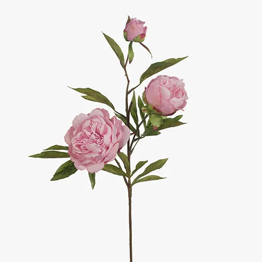 Peony x3 Light Pink 74cm - Pack of 12