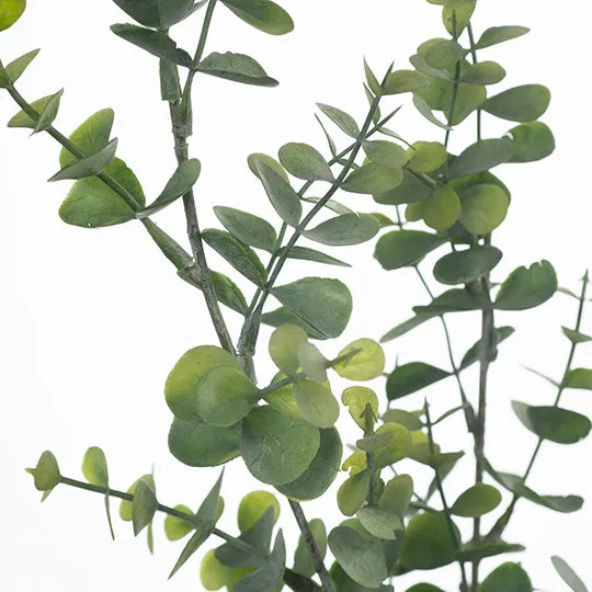 Eucalyptus Spray Green Grey 65cm - Pack of 12