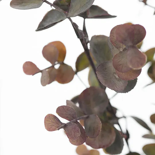 Eucalyptus Bush Burgundy Green 60cm - Pack of 12