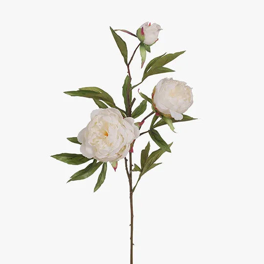 Peony x3 White 74cm - Pack of 12