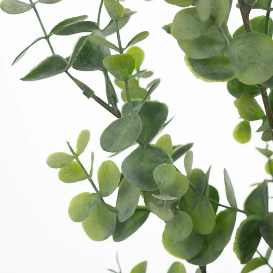 Eucalyptus Bush Green Grey 60cm - Pack of 12