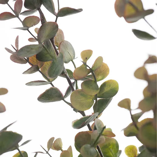 Eucalyptus Bush Olive Green 60cm - Pack of 12
