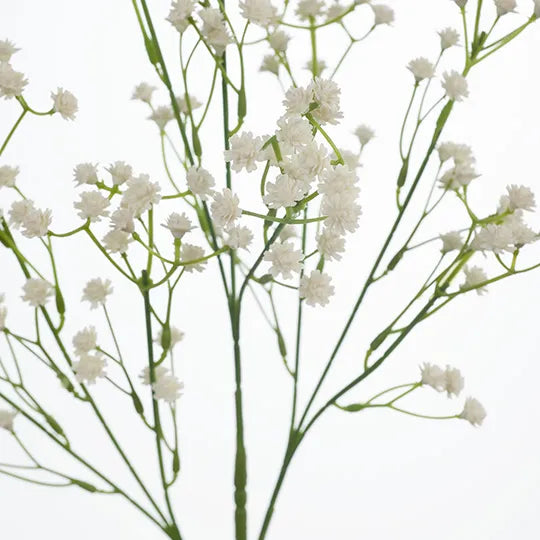 Babys Breath Spray White 59cm - Pack of 12