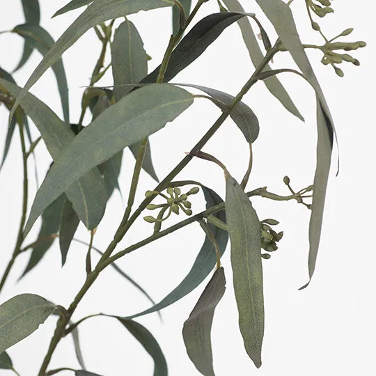 Eucalyptus Leaf & Seed Grey Green 86cm - Pack of 12