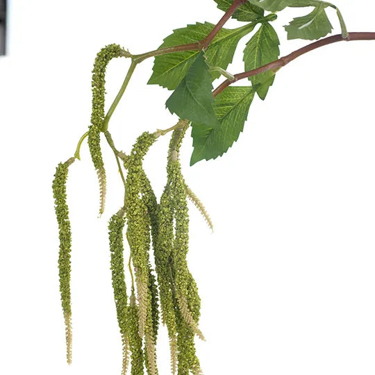 Amaranthus Spray Green 88cm - Pack of 12