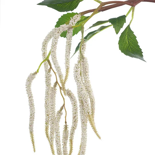Amaranthus Spray White 88cm - Pack of 12