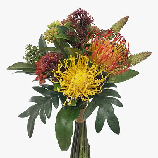 Protea Skimmia Bouquet Mixed 30cm - Pack of 6