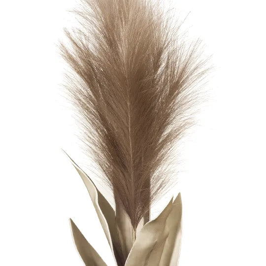 Pampas Grass w/Leaf Brown 113cm - Pack of 12