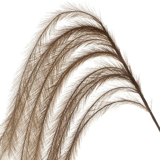 Pampas Grass Hanging Brown 126cm - Pack of 12