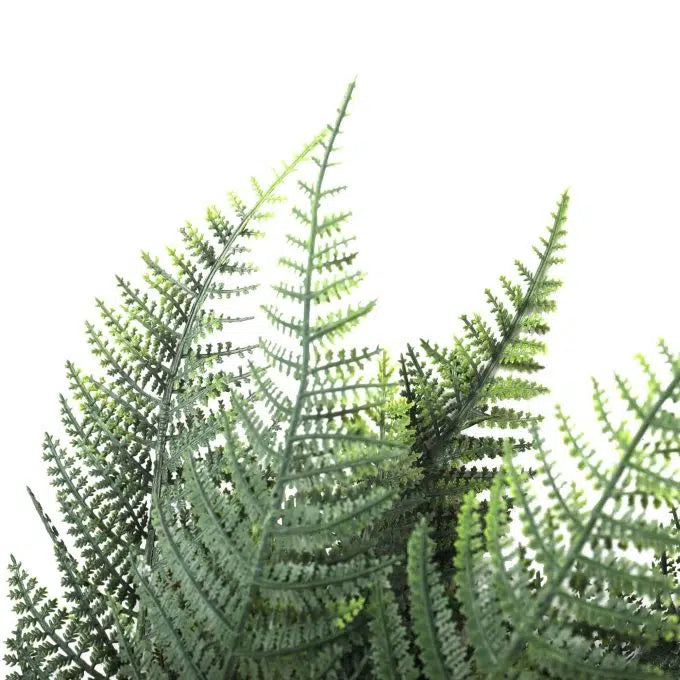 Premium Artificial Australian Fern UV Resistant 60cm Set of 2