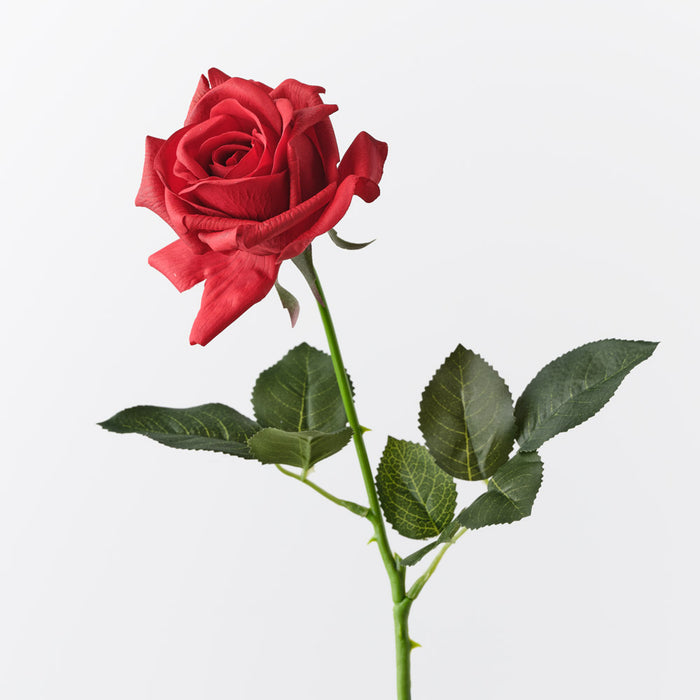 Rose Kim Red 65cm Pack of 12