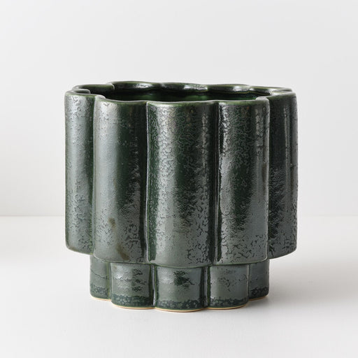 Gustel Pot Pine 21cm x 23cm Pack of 2