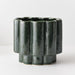 Gustel Pot Pine 21cm x 23cm Pack of 2