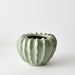Zasha Pot Pickle 19cm x 25cm Pack of 2