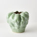 Pella Pot Pickle 26cm x 29cm Pack of 2
