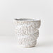 Coraline Pot White 19cm x 20cm Pack of 2