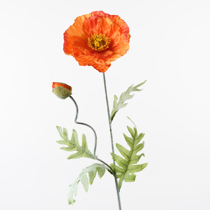 Poppy Iceland Spray Orange 74cm Pack of 24