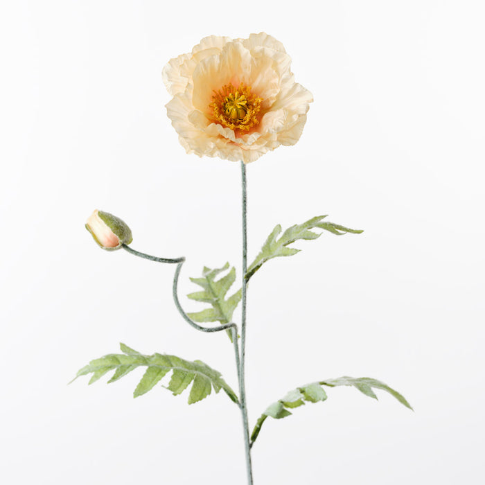 Poppy Iceland Spray Peach 74cm Pack of 24
