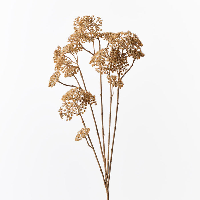 Achillea Spray Natural 91cm Pack of 12