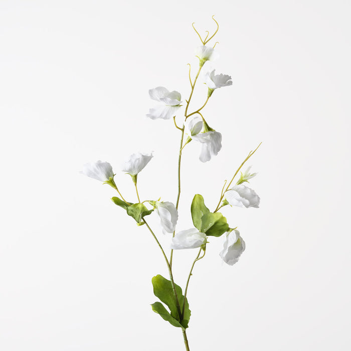 Sweet Pea Spray White 72cm Pack of 12