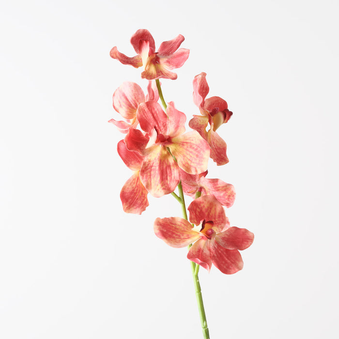 Orchid Vanda Orange Yellow 62cm Pack of 12