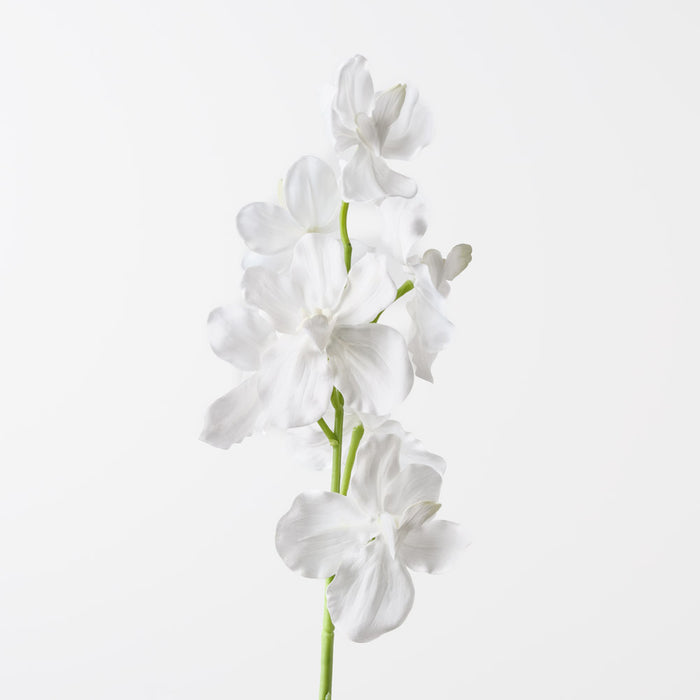 Orchid Vanda White 62cm Pack of 12