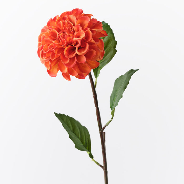 Dahlia Pompon Burnt Orange 58cm Pack of 12
