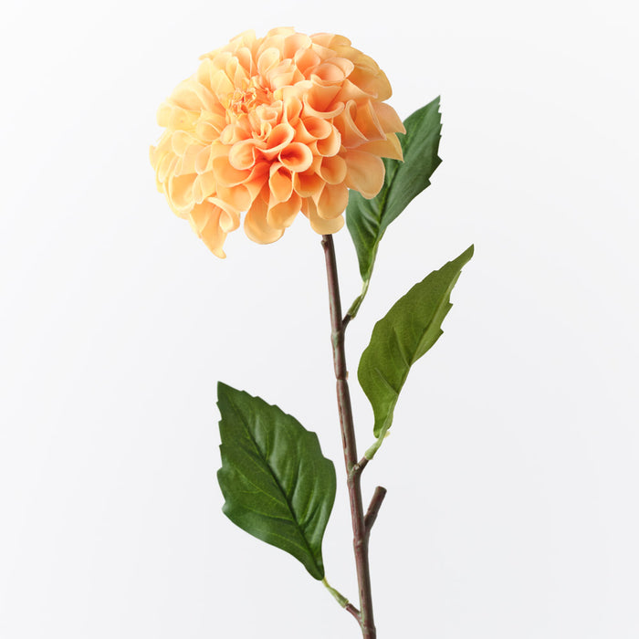 Dahlia Pompon Orange 58cm Pack of 12