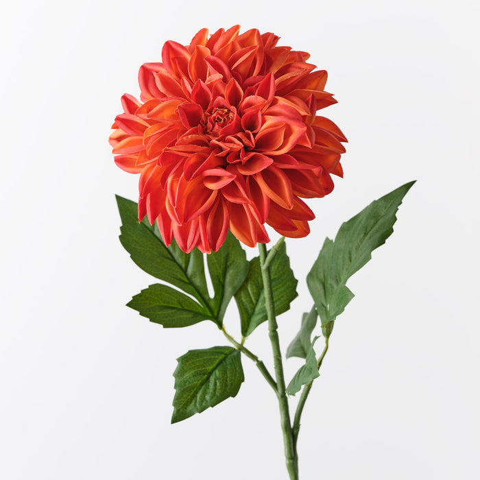 Dahlia Pompon Burnt Orange 72cm Pack of 12