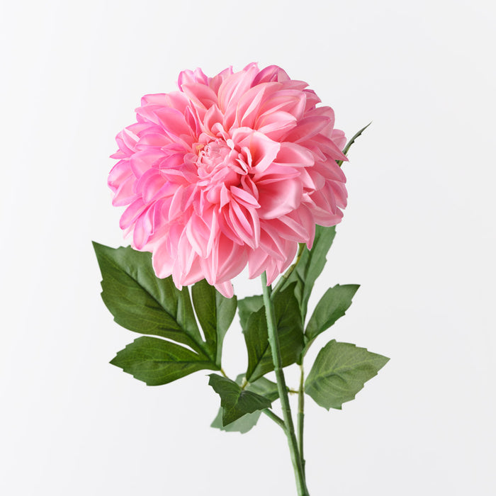 Dahlia Pompon Hot Pink 72cm Pack of 12