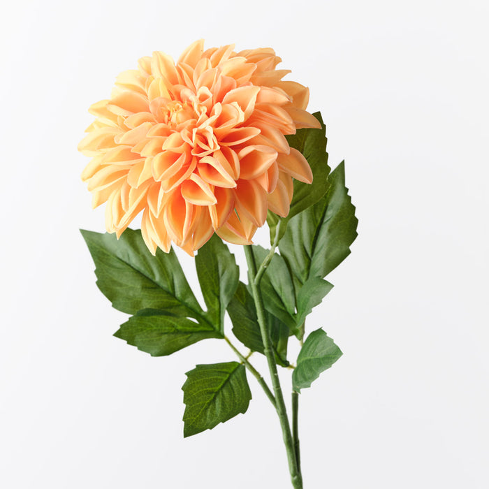 Dahlia Pompon Orange 72cm Pack of 12
