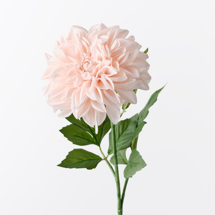 Dahlia Pompon Soft Pink 72cm Pack of 12