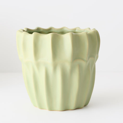 Haili Pot Wasabi 20cm x 22cm Pack of 2