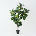 Fiddle Leaf Tree Green 210cm