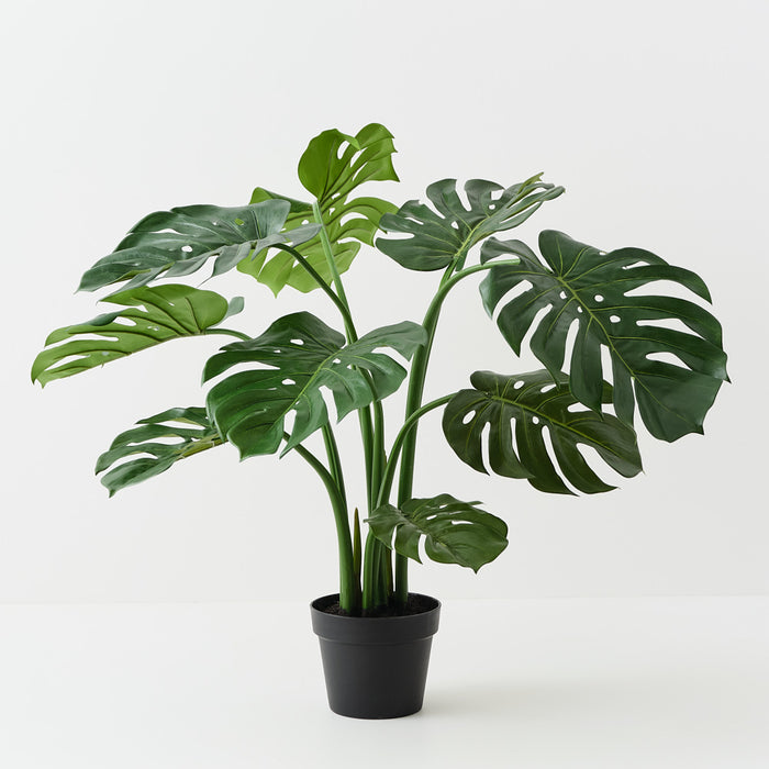 Monstera Plant Green 91cm