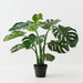 Monstera Plant Green 91cm