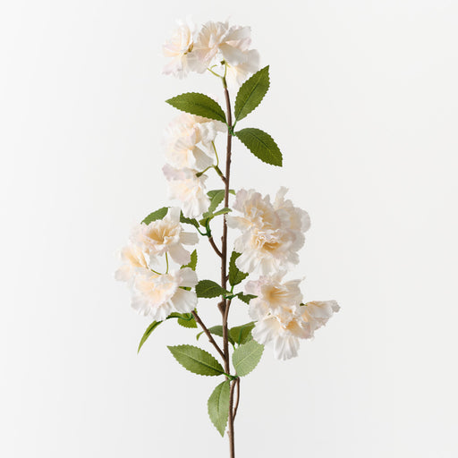 Blossom Apple Champagne 77cm Pack of 12