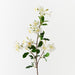 Blossom Pear White 80cm Pack of 12