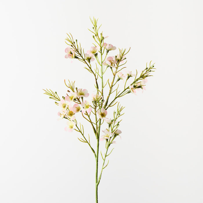 Wax Flower Light Pink 70cm Pack of 12