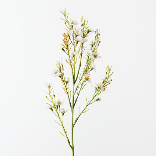 Wax Flower White 70cm Pack of 12